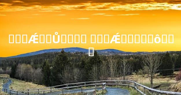 ���Ǽ�ƷŮ���� ���Ǽ�Ʒ��ʲô��˼